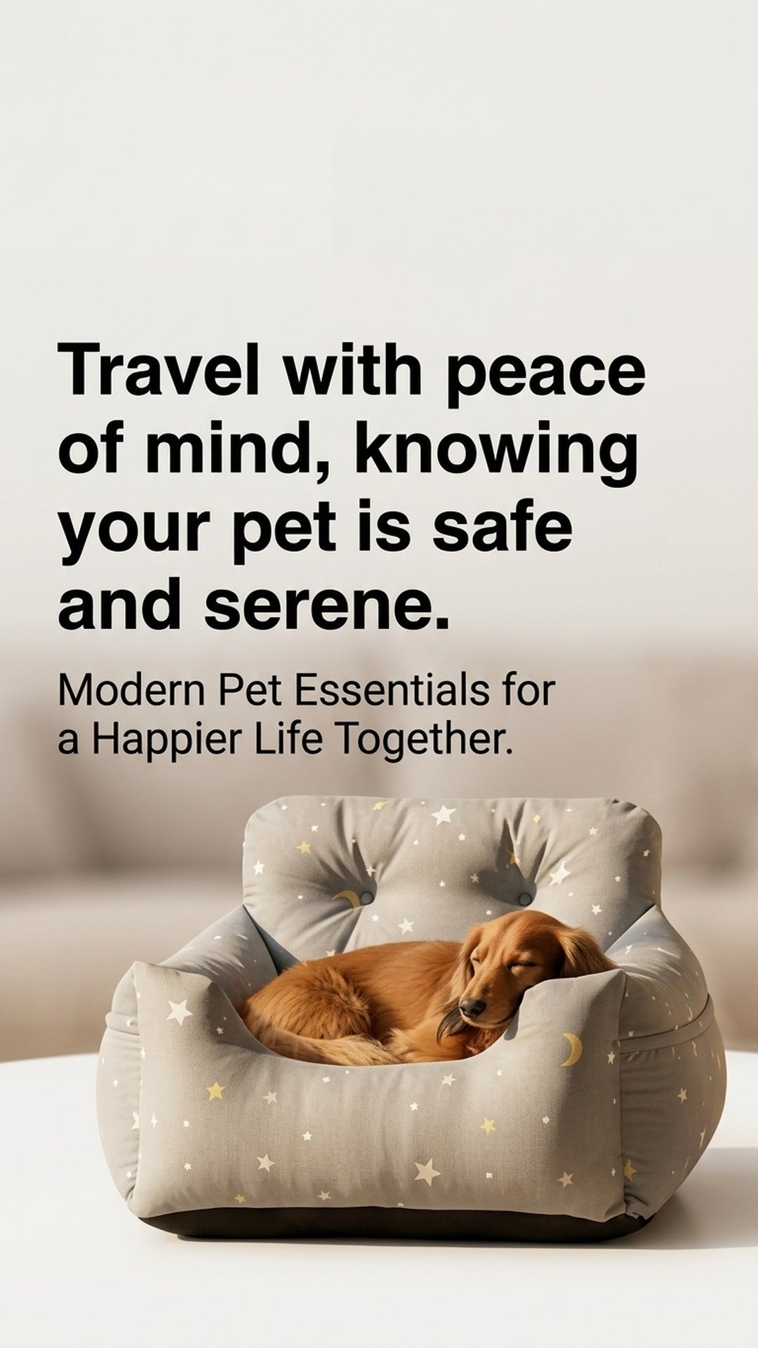 The Ultimate Guide to Traveling Safely with Your Pet - Petstorra Co